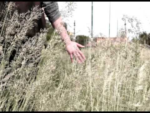 Anomalia (ANM) feat. Sylwia - Romeo musi żyć