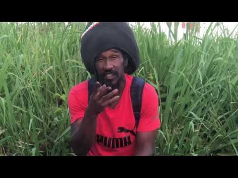 Willpower by Oneroot Freeman  official video