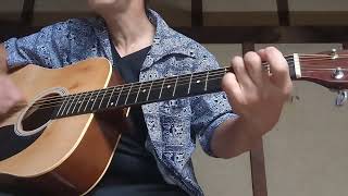 BAD RELIGION The Positive Aspect of Negative Thinking acoustic cover