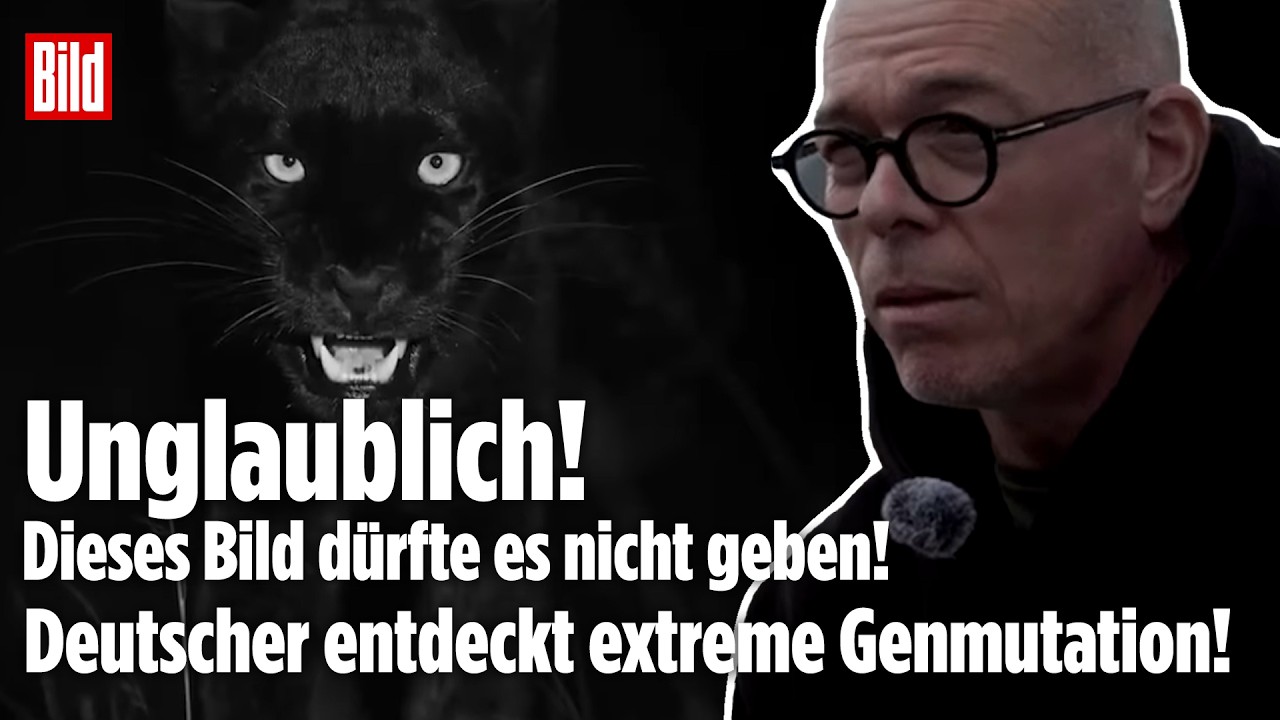 KENIA: Deutscher Fotograf! "Niemand glaubte mir!" Dann taucht er auf. Kein Mythos, krasse Realität!