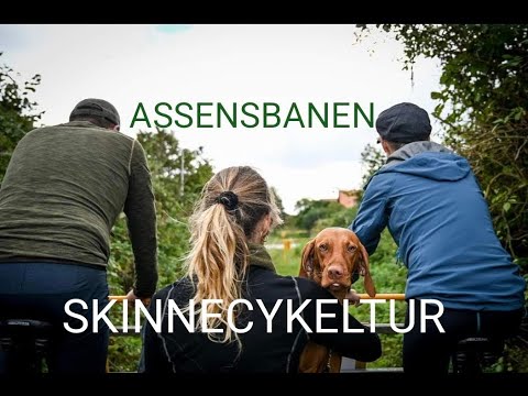 RAIL BIKE - on Funen, from Tommerup to Assens