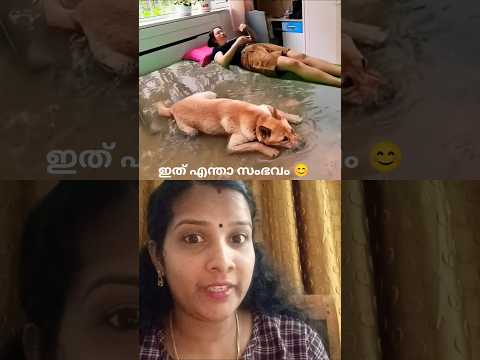 ഇത് കൊള്ളാല്ലോ 👍😊#viralvedio #ytshortsvideo #viral #shortsfeed