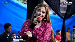 Download lagu Aku Tak Butuh Cinta Eva Aquila - Trias Music Balong Pernikahan Ari Ristanto & Fatimah mp3