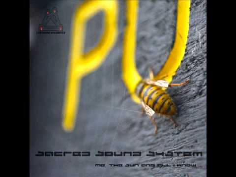 06   Sacred Sound System   Irony