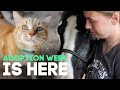 Adoptions Adoptions Adoptions | Horse Shelter Heroes S3E11