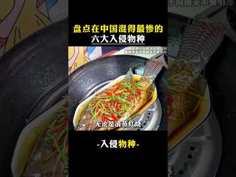 xjr  盤點在中國混得最慘的六大入侵物種。
