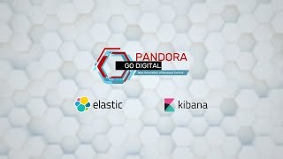 Elastic Search & Kibana Services