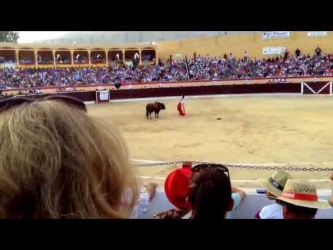 Toros en Berja EL FANDI •StyleByAndy