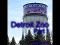 Jack Of Trades Ep 3 Pt 1 Amphibians And Reptiles Detroit Zoo