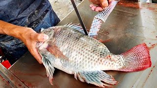 First Ever In BD Fish Market! Fastest Tilapia Fish Cutting By Machine | Fish Cutting Skills