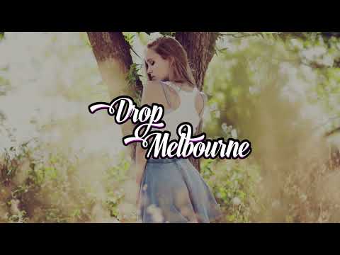 Bonik   The Legendary Flamingo remix