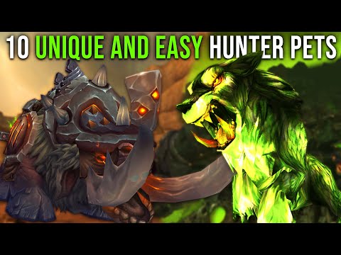 10 Unique AND Easy Hunter Pets in World of Warcraft
