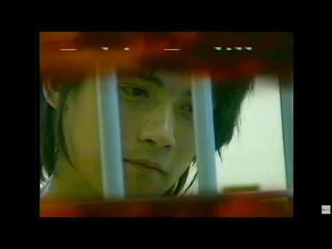 ROBIN PADILLA SA LIKOD NG REHAS | Brigada Siete