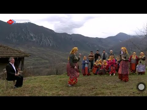 Sarı Yazma oyun havası ( Cide ) #shorts #reels