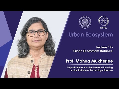 Lecture 19: Urban Ecosystem Balance