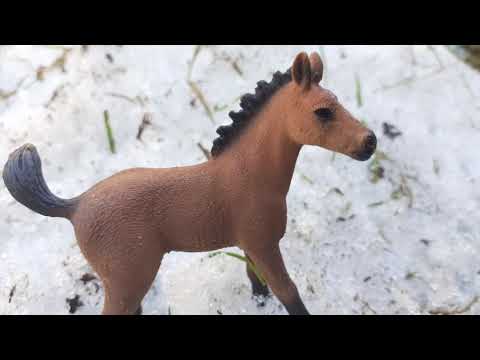 Die braune Herde| Schleich Serie|Folge 1😍NEUE SERIE