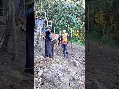sheik ostentando na cidade de Uruburetama ceara #humor