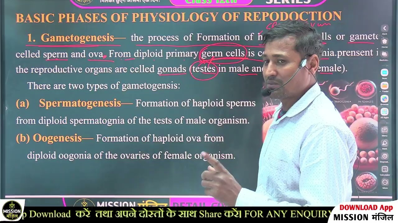 Class 12 chapter 1 Human Reproduction   Part - 3