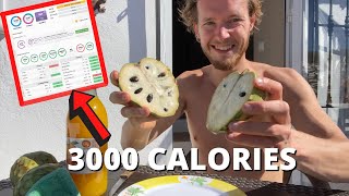 3000 Raw Vegan Calories | What I Eat In A Day In Spain