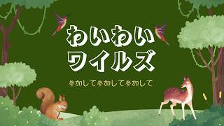 【参加型】装備更新しながら、みんなと狩るよ！#vtuber #ニチアサ #モンハンワイルズ