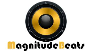 Magnitude - Reaction