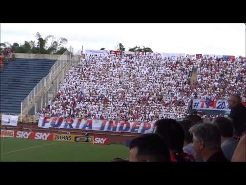 Torcida do Paraná em Joinville - Joinville 1 x 0 Paraná - 26/10/13