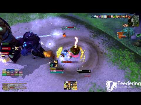 Feedering - Brackenspore Heroic