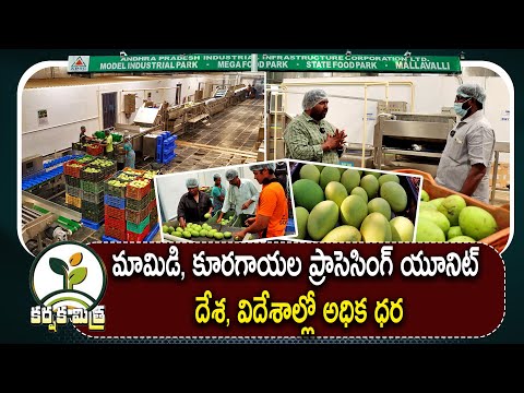 Mango and fruits processing unit