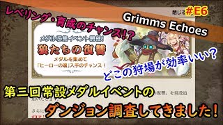 #E6 【検証】効率いいのは？メダル収集イベント「狼たちの復讐」ダンジョン調査してきました。【グリムエコーズ/Grimms Echoes】