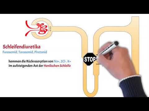 Diuretika_Thiazide-, Schleifen-, und Kaliumsparende Diuretika