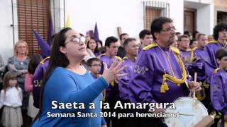 preview picture of video 'Saeta a la Amargura. Semana Santa 2014 en Herencia'