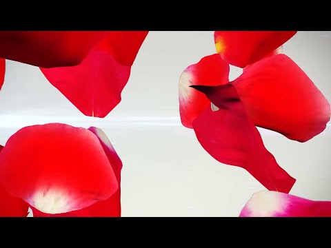 Heart to Heart  - Parshat Vayigash