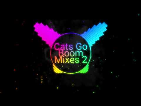 Dj Indygo feat. Chris Antonio_Fuck This Early Mo