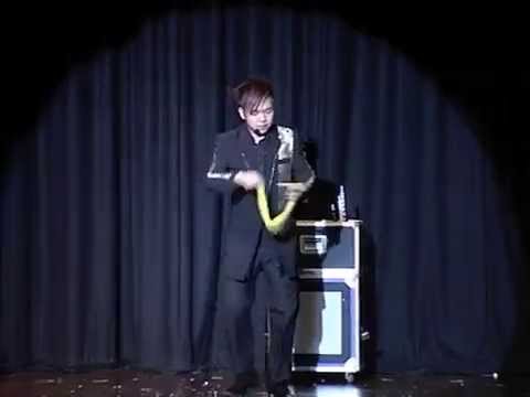 Professional Cane Techniques by Jeremy Pei