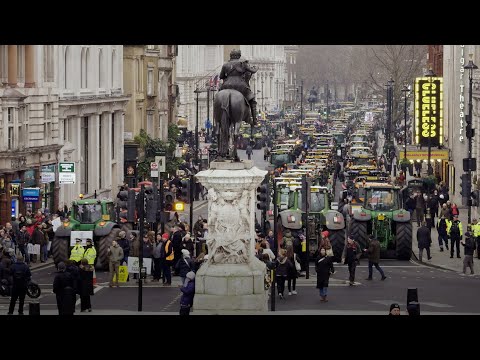 In Symbiosis (2025) TRAILER - Leeds Int' Film Festival Official Selection