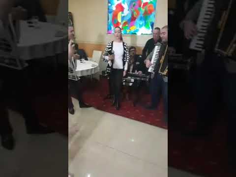 Petreceți cu Formația Marian Mexicanu (Ana Stoian, Viorel de la Constanța și Marian)