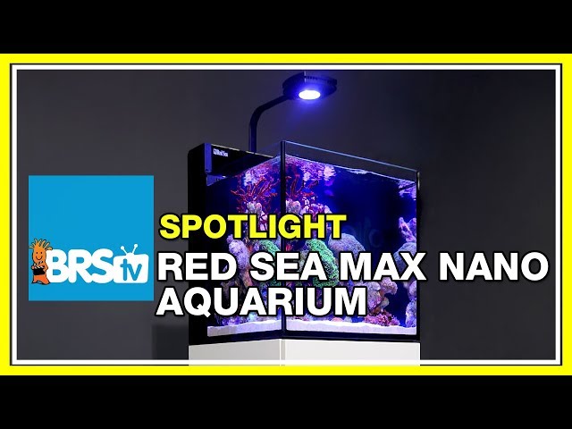 How to set up a nano reef tank - Red Sea Max Nano Aquarium | BRStv Spotlight