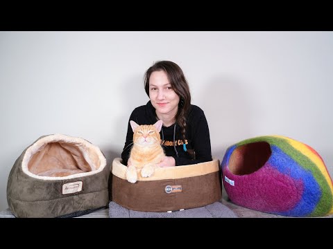 Top 5 Best Cat Beds (We Tried Them)