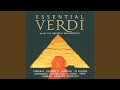Verdi: Aida / Act 2: "Gloria all'Egitto"