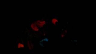 Deerhunter - Twilight at Carbon Lake - Live - 11/14/2008