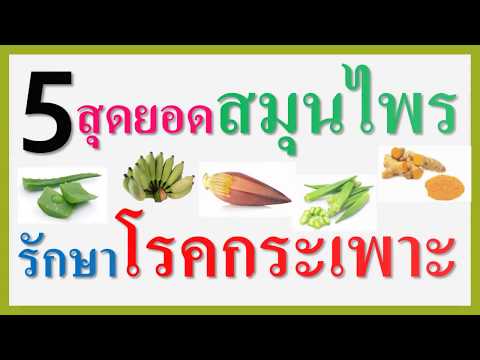 ยาพื้นบ้านเพื่อเพิ่มสมาชิก วิธีการที่จะกระตุ้นผู้หญิงที่จะติดตั้งเครื่องจักร