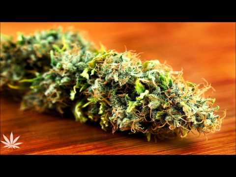 Requake & Megalodon - Face Lift