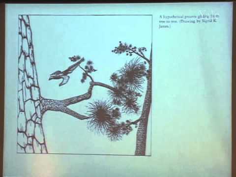 10/8/05  Richard Prum - The Evolution of Birds: Why Birds are Dinosaurs