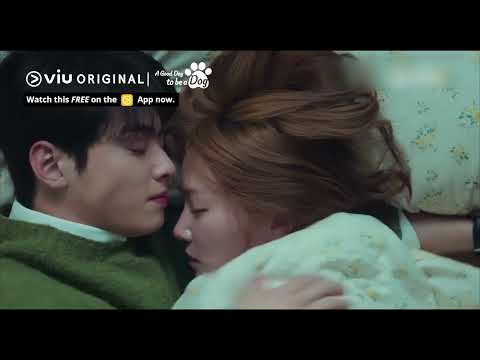 Cha Eun Woo Dramas