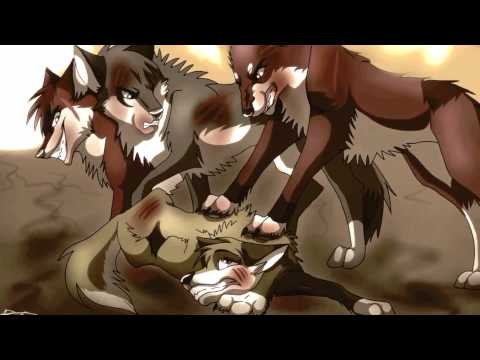 download lagu mp3 mp4 Omfa, download lagu Omfa gratis, unduh video klip Omfa