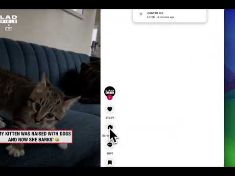 Item video thumbnail