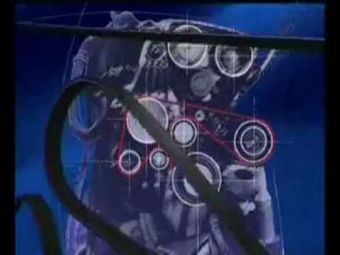 Mezzi di sollevamento potenza Come per eccitare una donna vitello