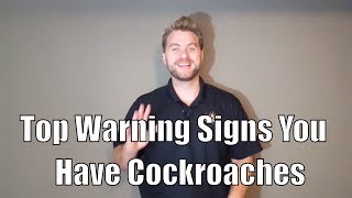 Top Warning Signs You Have Cockroaches In Your Home