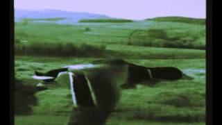 Cocteau Twins - Amelia