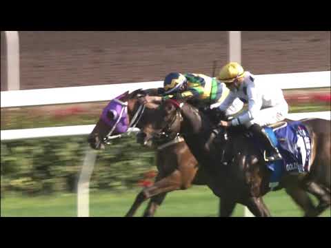 21/2/2021 (447) Golden Sixty - Vincent Ho (G1 The Citi Hong Kong Gold Cup,   13 Win Streak)